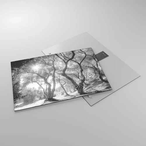 Glass picture - In an Olive Grove - 70x50 cm