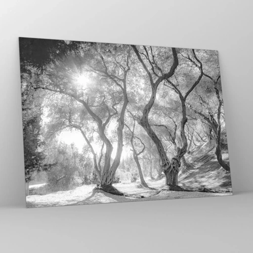 Glass picture - In an Olive Grove - 70x50 cm