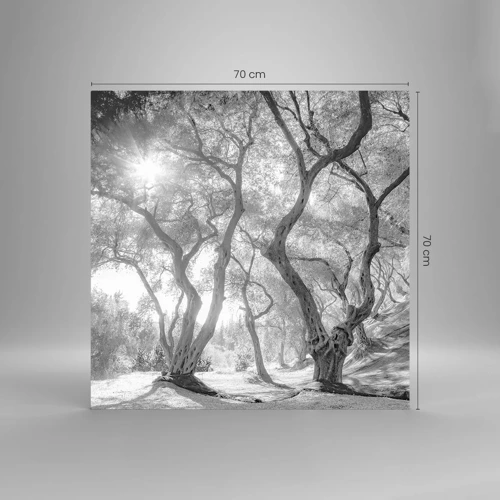 Glass picture - In an Olive Grove - 70x70 cm