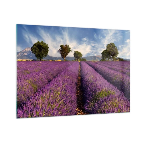 Glass picture - Lavender Fields - 100x70 cm