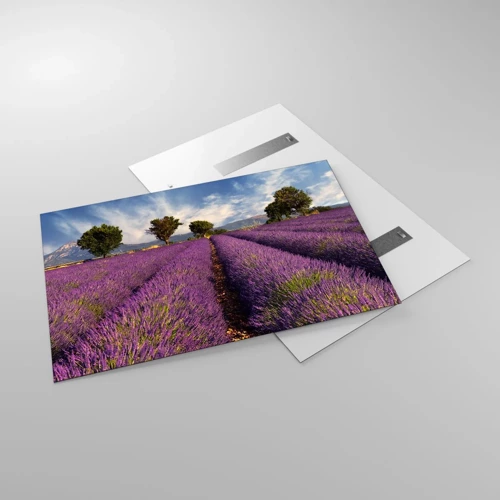Glass picture - Lavender Fields - 120x80 cm