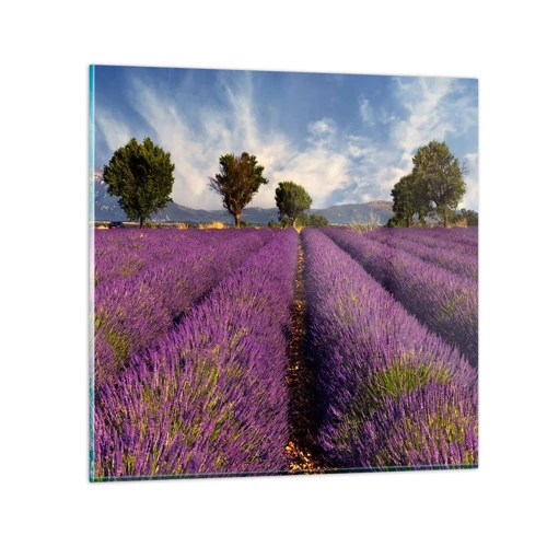 Glass picture - Lavender Fields - 30x30 cm