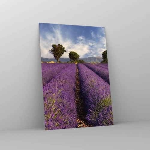 Glass picture - Lavender Fields - 50x70 cm