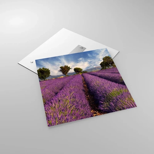 Glass picture - Lavender Fields - 60x60 cm