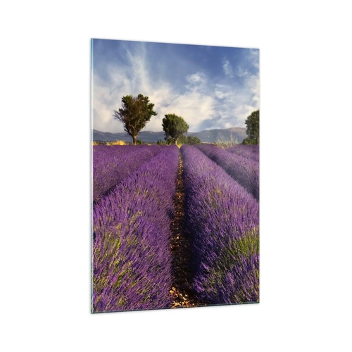 Glass picture - Lavender Fields - 70x100 cm