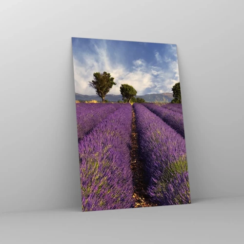 Glass picture - Lavender Fields - 70x100 cm