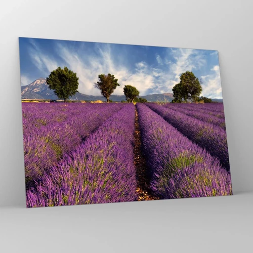 Glass picture - Lavender Fields - 70x50 cm