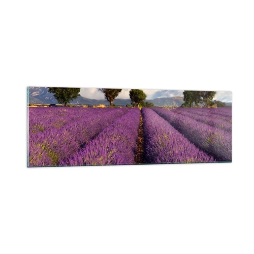 Glass picture - Lavender Fields - 90x30 cm