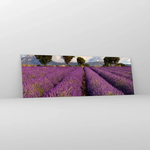 Glass picture - Lavender Fields - 90x30 cm