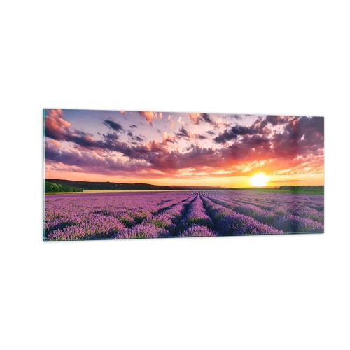 Glass picture - Lavender World - 100x40 cm