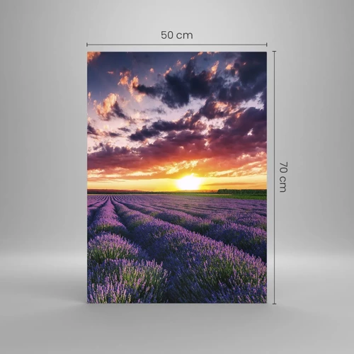 Glass picture - Lavender World - 50x70 cm