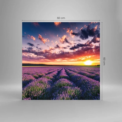 Glass picture - Lavender World - 60x60 cm