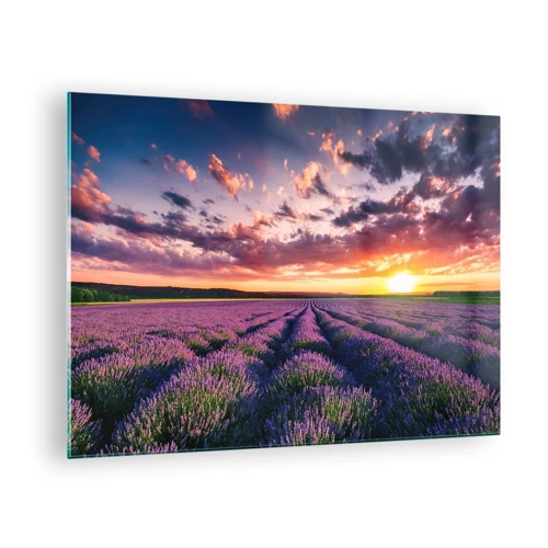 Glass picture - Lavender World - 70x50 cm