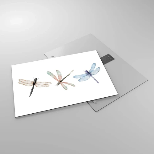 Glass picture - Lightness of Dragonflies  - 70x50 cm