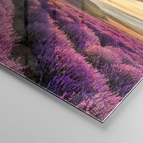 Glass picture - Lilac Coloured Aroma - 160x50 cm