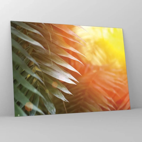 Glass picture - Morning in the Jungle - 70x50 cm