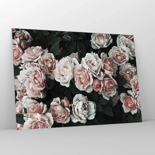 Glass picture - Rose Ensemble - 100x70 cm