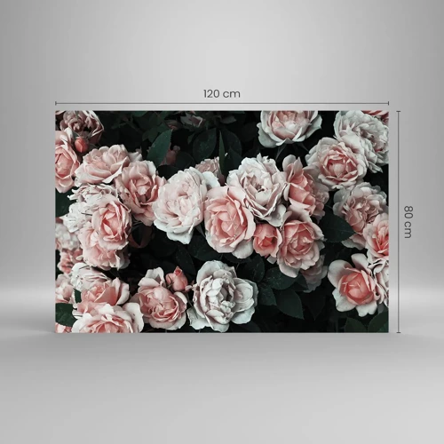 Glass picture - Rose Ensemble - 120x80 cm