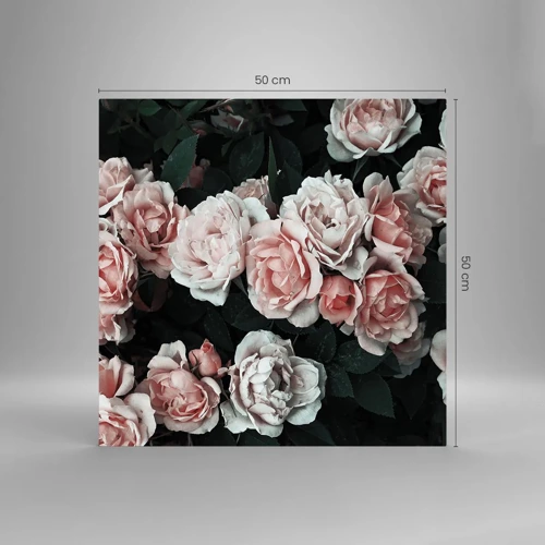 Glass picture - Rose Ensemble - 50x50 cm