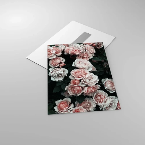 Glass picture - Rose Ensemble - 50x70 cm