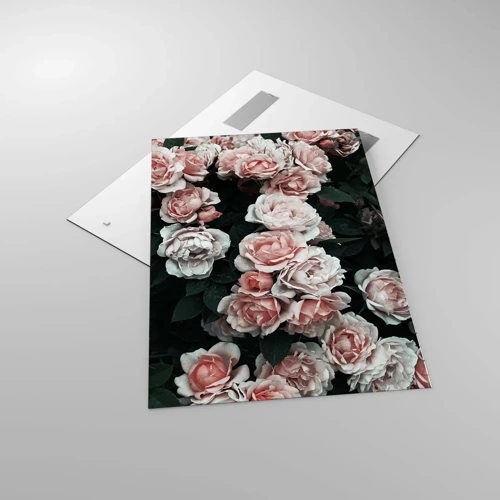 Glass picture - Rose Ensemble - 70x100 cm