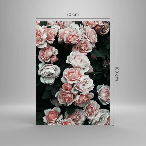 Glass picture - Rose Ensemble - 70x100 cm