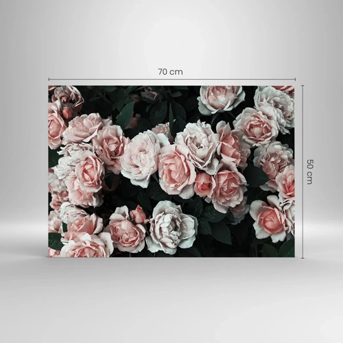 Glass picture - Rose Ensemble - 70x50 cm