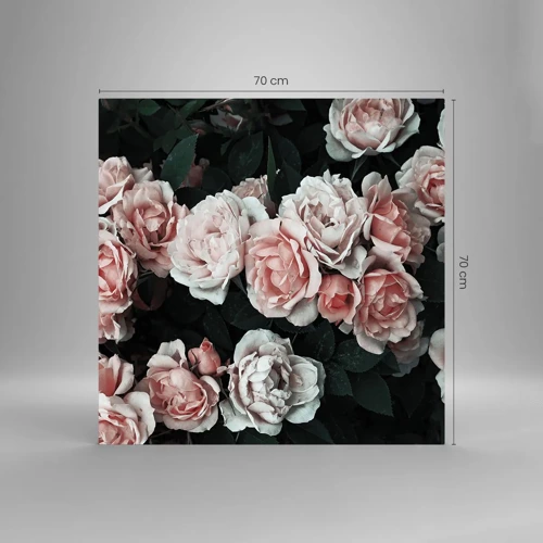 Glass picture - Rose Ensemble - 70x70 cm