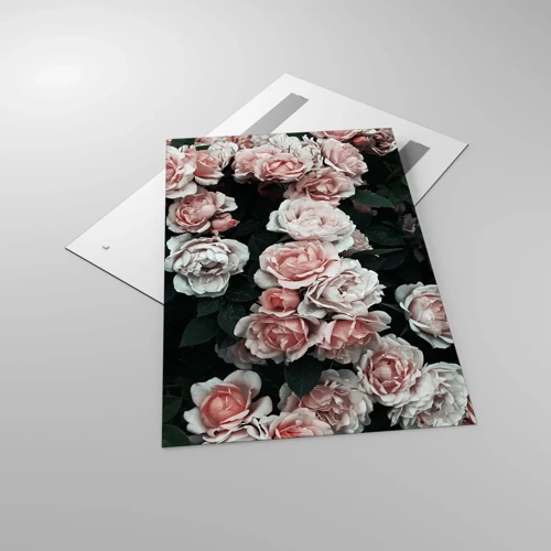 Glass picture - Rose Ensemble - 80x120 cm