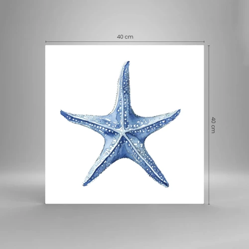 Glass picture - Sea Star - 40x40 cm