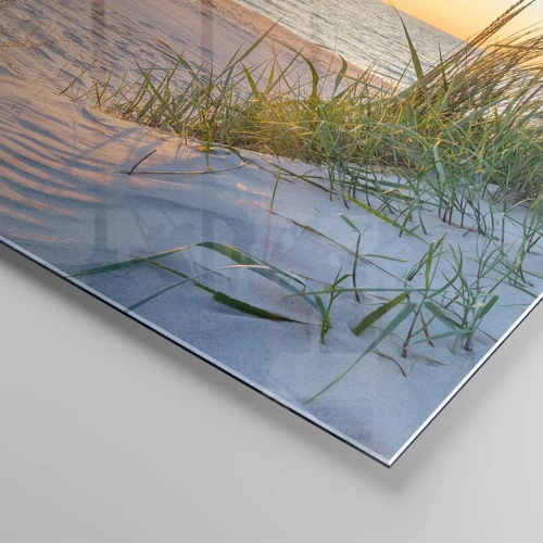 Glass picture - Sound of the Sea, Singing of the Birds, Wild Beach among Grass - 140x50 cm