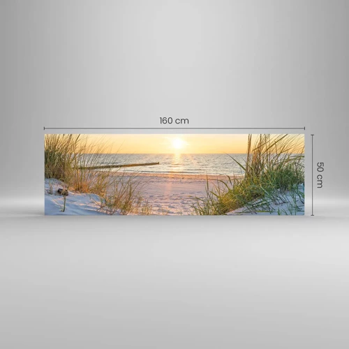 Glass picture - Sound of the Sea, Singing of the Birds, Wild Beach among Grass - 160x50 cm