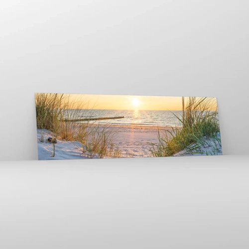 Glass picture - Sound of the Sea, Singing of the Birds, Wild Beach among Grass - 160x50 cm