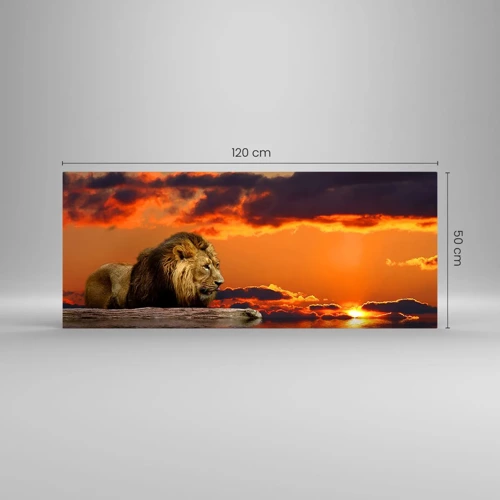 Glass picture - The King of Nature - 120x50 cm