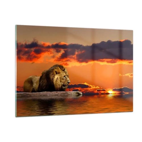 Glass picture - The King of Nature - 120x80 cm