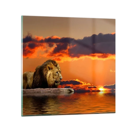 Glass picture - The King of Nature - 60x60 cm