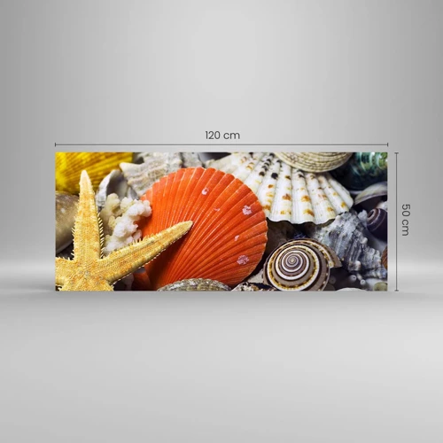 Glass picture - Treasures of the Ocean - 120x50 cm