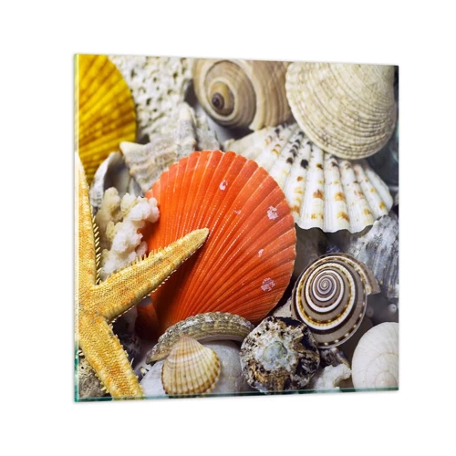 Glass picture - Treasures of the Ocean - 50x50 cm