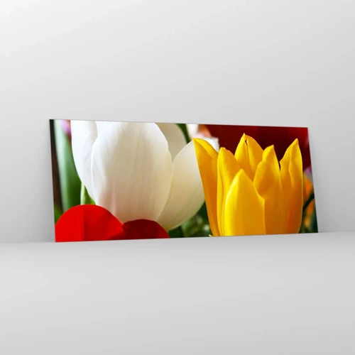 Glass picture - Tulip Fever - 100x40 cm