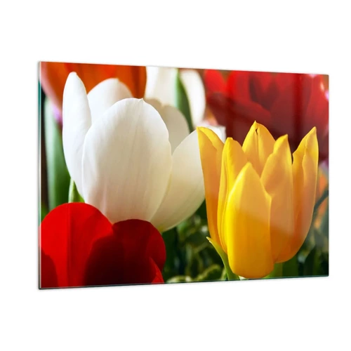 Glass picture - Tulip Fever - 120x80 cm