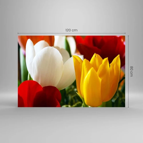 Glass picture - Tulip Fever - 120x80 cm