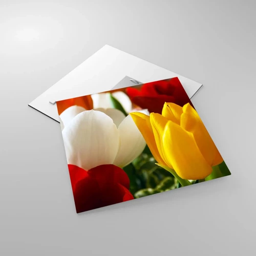 Glass picture - Tulip Fever - 40x40 cm