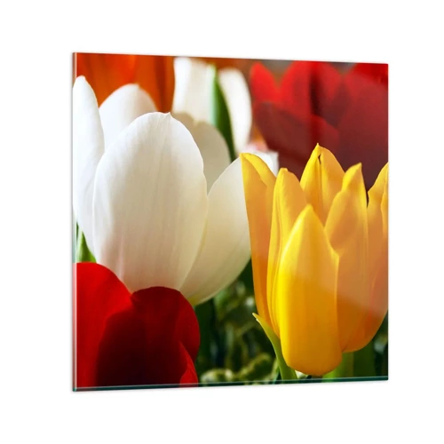 Glass picture - Tulip Fever - 60x60 cm