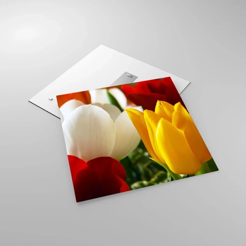 Glass picture - Tulip Fever - 60x60 cm