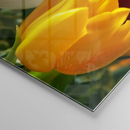Glass picture - Tulip Fever - 70x100 cm