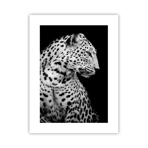 Poster - A Perfect Right Profile  - 30x40 cm