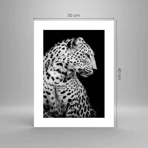 Poster - A Perfect Right Profile  - 30x40 cm