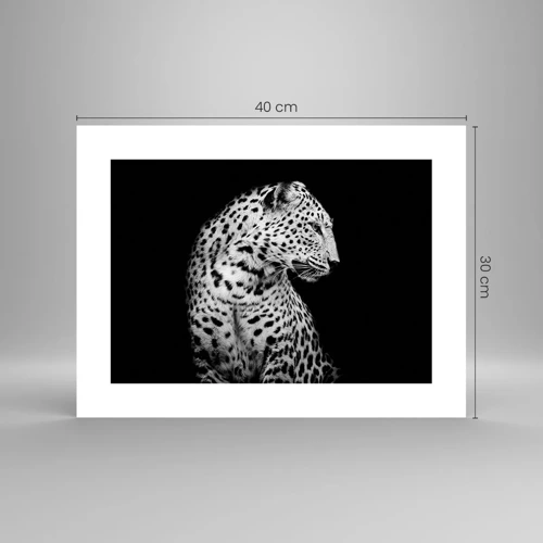 Poster - A Perfect Right Profile  - 40x30 cm