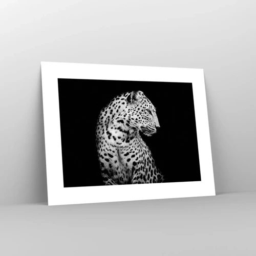 Poster - A Perfect Right Profile  - 40x30 cm