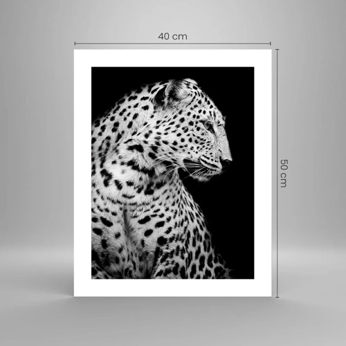 Poster - A Perfect Right Profile  - 40x50 cm